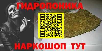 не бодяженный Гай
