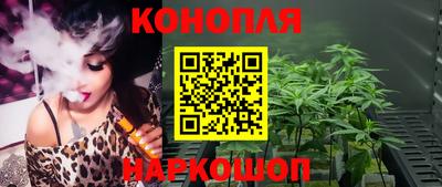 не бодяженный Гай