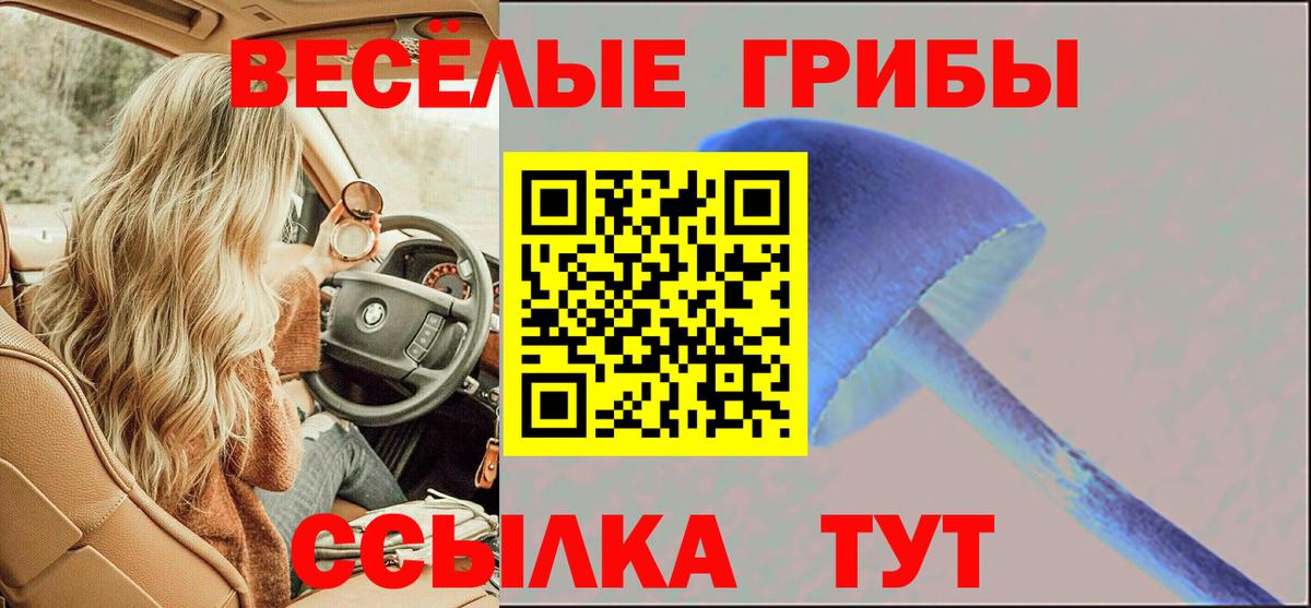 Псилоцибиновые грибы Magic Shrooms  Вход с VPN  Ржев 