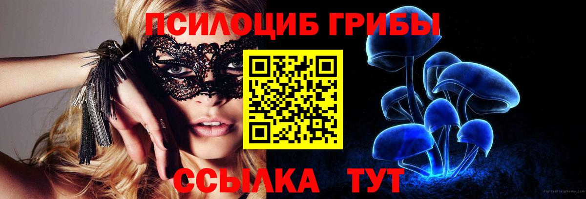 Псилоцибиновые грибы GOLDEN TEACHER Ржев